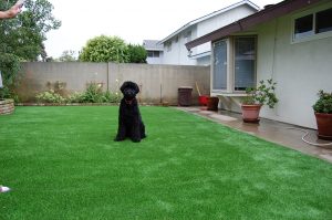 ▷🥇Escondido Terrace Mobile Home Park Artificial Grass Landscape design Installation in 92027