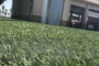 7 Reasons Your Artificial Grass Gone Black San Diego