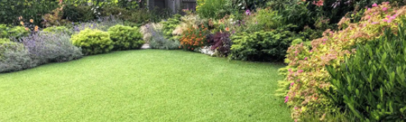 ▷7 Tips To Install Artificial Grass In Front Yard San Diego