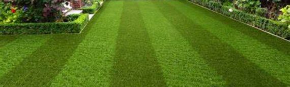 ▷How To Increase The Life Of Your Artificial Grass In San Diego?