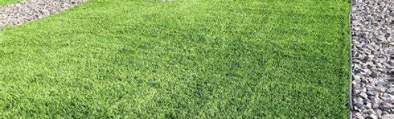 ▷5 Reasons That Artificial Grass Is Best Solution Fo All Problems In San Diego